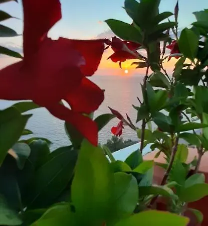 Bella Vista House-sorrento Coast - Free Parking-solarium 비코에쿠엔세